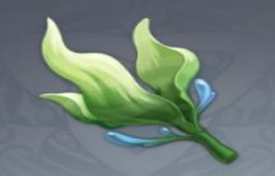 原神海草分布图 原神海草采集路线 原神海草分布图 原神海草采集路线