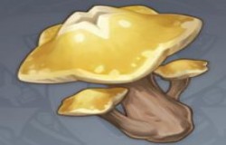 原神星蕈分布图 原神星蕈采集路线 原神星蕈分布图 原神星蕈采集路线